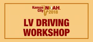 Low Vision Driving Workshop